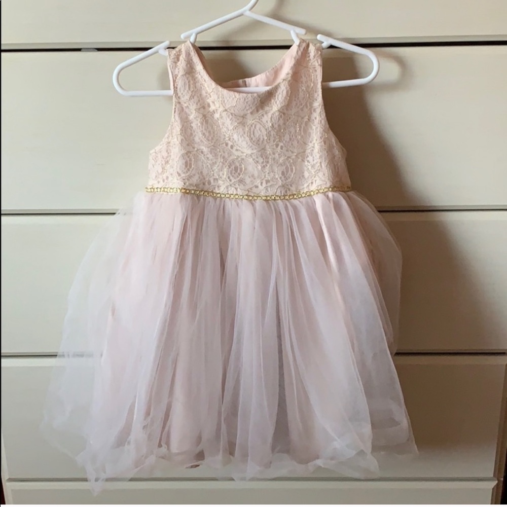 Pink tulle 2T dress